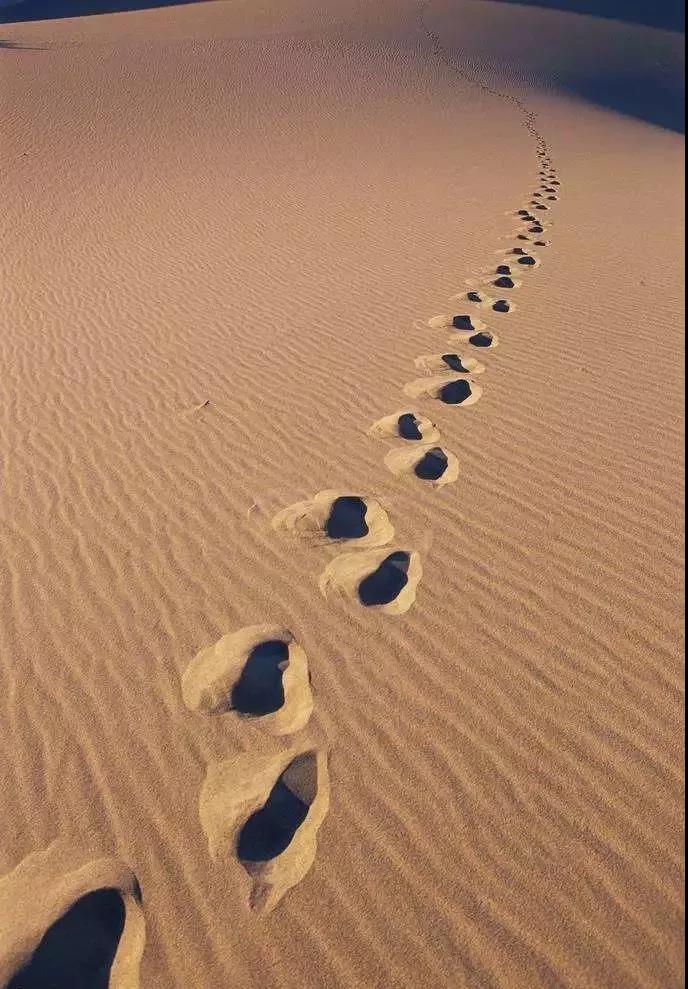 ǧ�ڡ�����(�й�)Ψһ�ٷ���վ