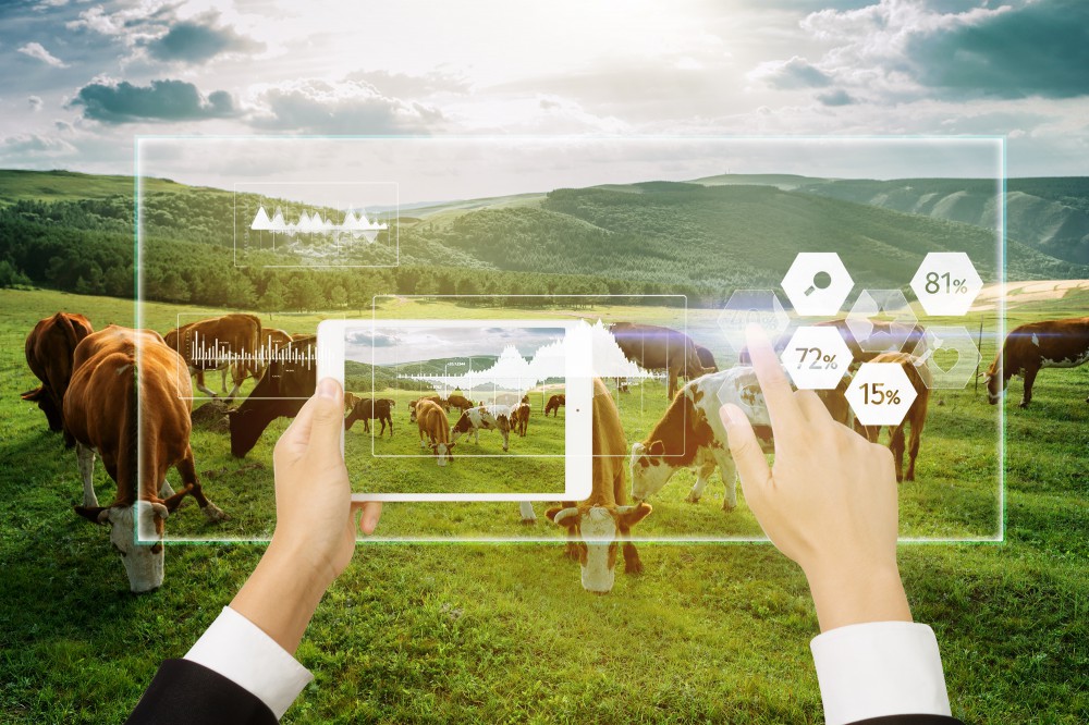 ǧ�ڡ�����(�й�)Ψһ�ٷ���վ