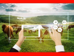 ǧ�ڡ�����(�й�)Ψһ�ٷ���վ