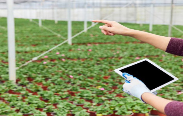 ǧ�ڡ�����(�й�)Ψһ�ٷ���վ